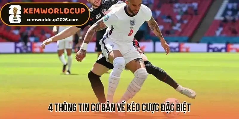 4 thông tin cơ bản về kèo cược đặc biệt