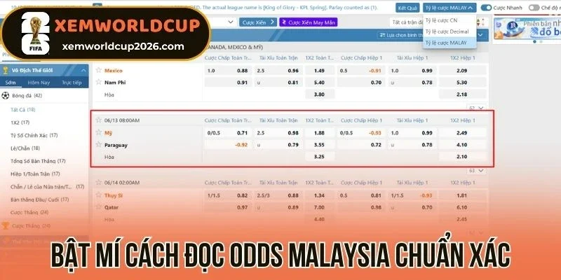 Bật mí cách đọc odds Malaysia chuẩn xác
