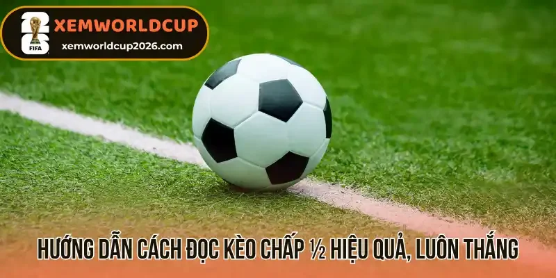Hướng dẫn cách đọc kèo chấp ½ hiệu quả, luôn thắng