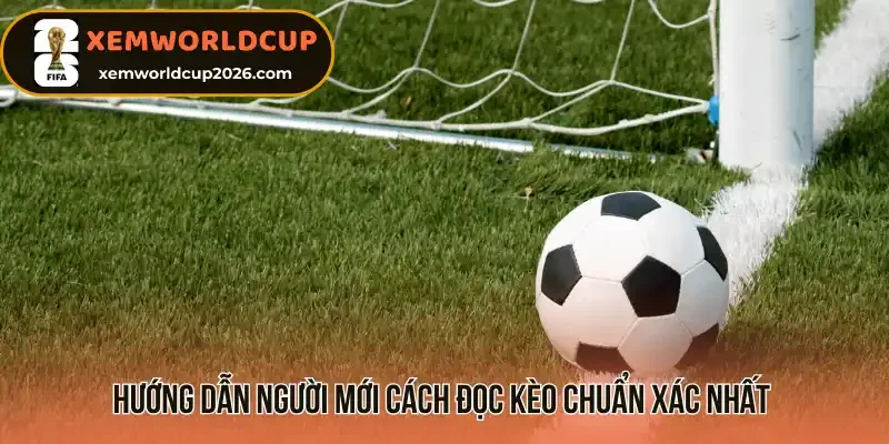 Hướng dẫn người mới cách đọc kèo chuẩn xác nhất