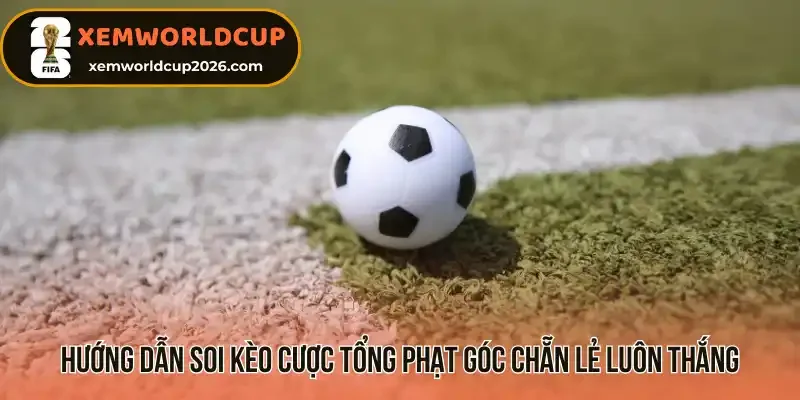 Hướng dẫn soi kèo cược tổng phạt góc chẵn lẻ luôn thắng