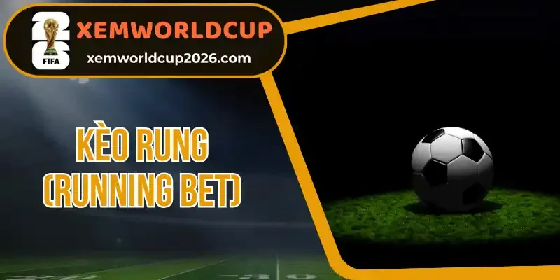 lịch thi đấu hôm nay