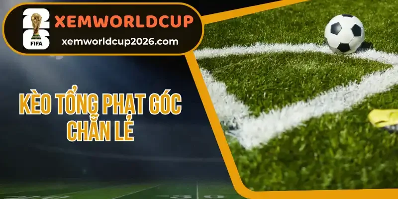 Hướng dẫn tính tiền khi thắng kèo và minh họa thực tế 