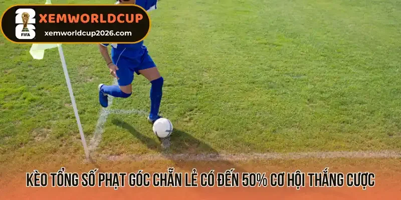 Kèo tổng số phạt góc chẵn lẻ có đến 50% cơ hội thắng cược