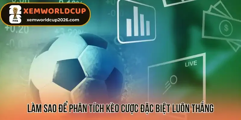 Làm sao để phân tích kèo cược đặc biệt luôn thắng