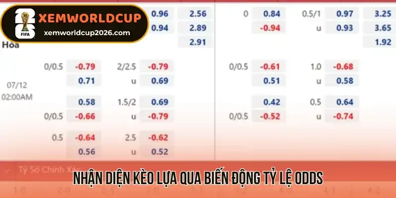 3 Đặc điểm giúp bạn nhận diện nhanh kèo lựa