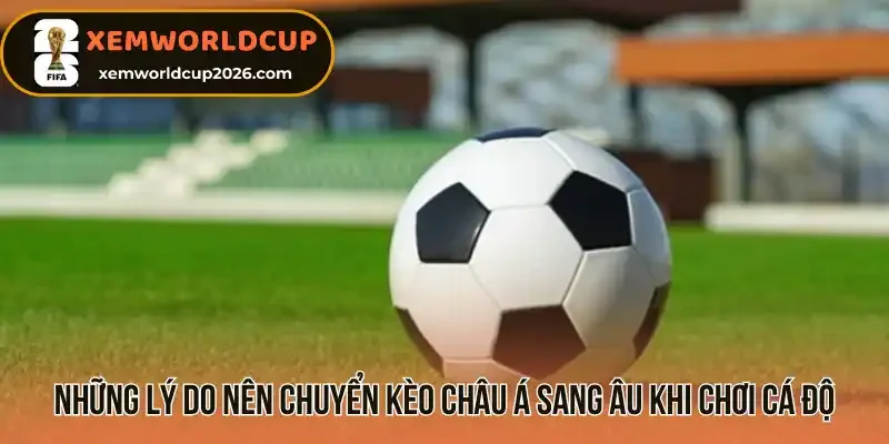 Những lý do nên chuyển kèo Châu Á sang Âu khi chơi cá độ