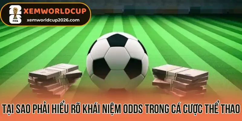 Tại sao phải hiểu rõ khái niệm Odds trong cá cược thể thao