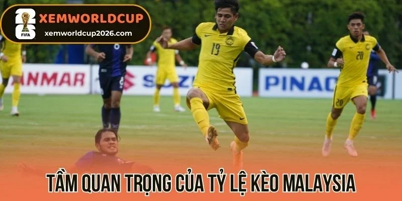 Tổng hợp thông tin về kèo Malaysia