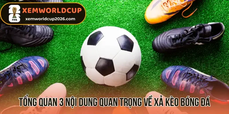 Tổng quan 3 nội dung quan trọng về xả kèo bóng đá