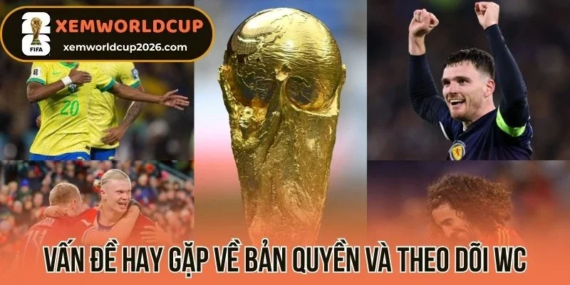 Vấn đề hay gặp về bản quyền và theo dõi WC