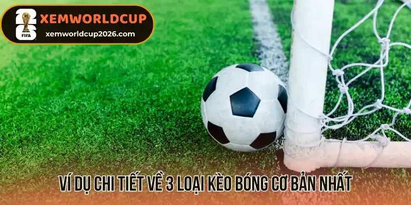 Ví dụ chi tiết về 3 loại kèo bóng cơ bản nhất