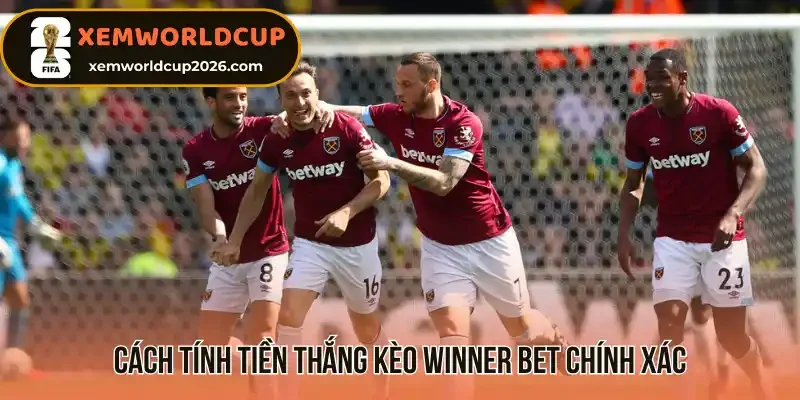 Cách tính tiền thắng kèo winner bet chính xác