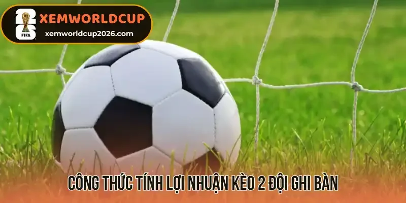Công thức tính lợi nhuận kèo 2 đội ghi bàn