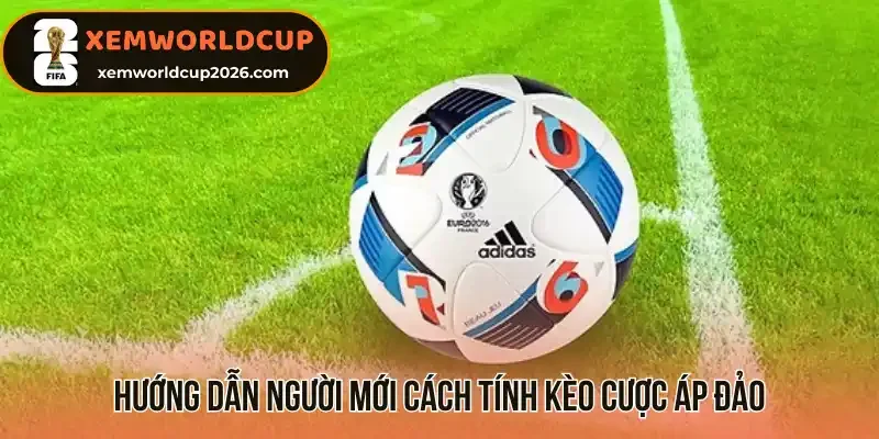 Hướng dẫn người mới cách tính kèo cược áp đảo 
