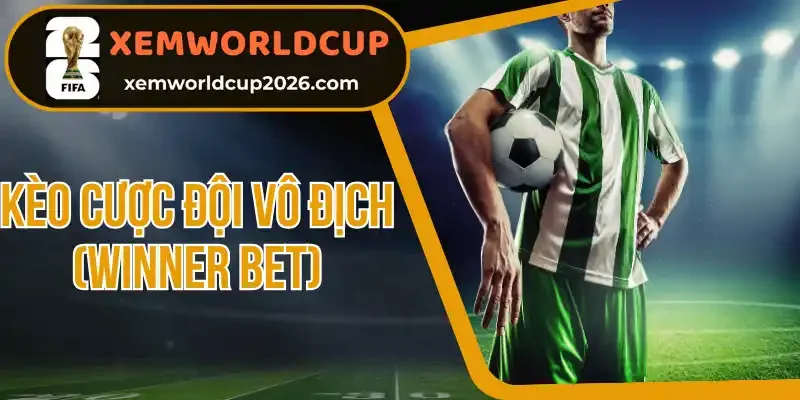 Những đặc điểm quan trọng của kèo cược vô địch