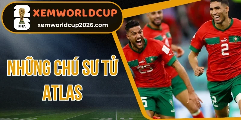 Sức hút của đoàn quân HLV Walid Regragui