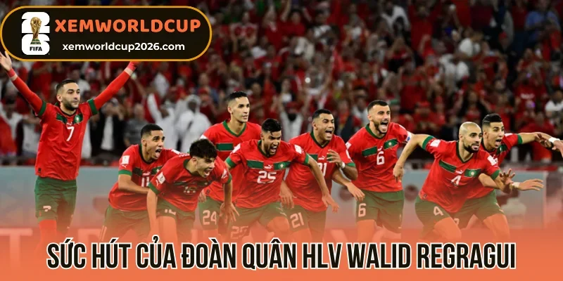 Sức hút của đoàn quân HLV Walid Regragui