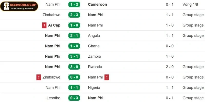 Thành tích thi đấu của Nam Phi