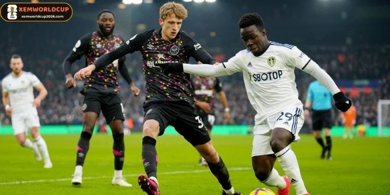 New Zealand vs Bỉ dự kiến tung ra đội hình mạnh nhất