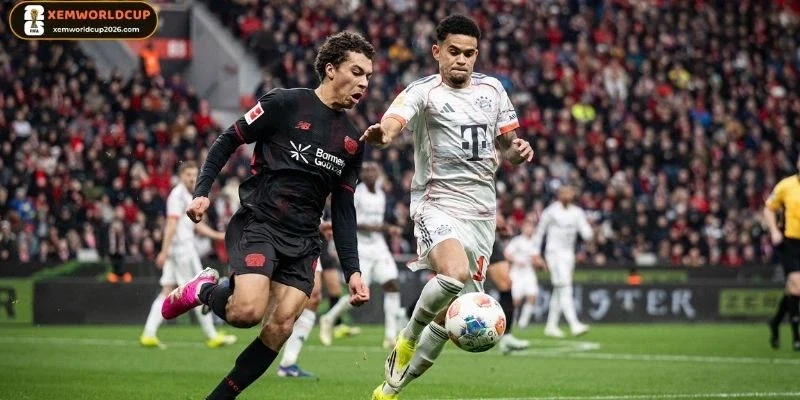 Sơ đồ ra sân của Ecuador và Đức