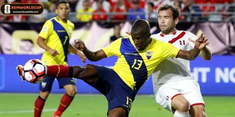 Sơ đồ ra sân trận so tài Brazil vs Haiti