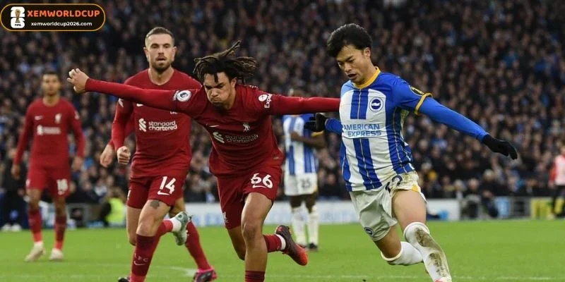 Dự đoán bảng kèo trận Thổ Nhĩ Kỳ vs Hoa Kỳ